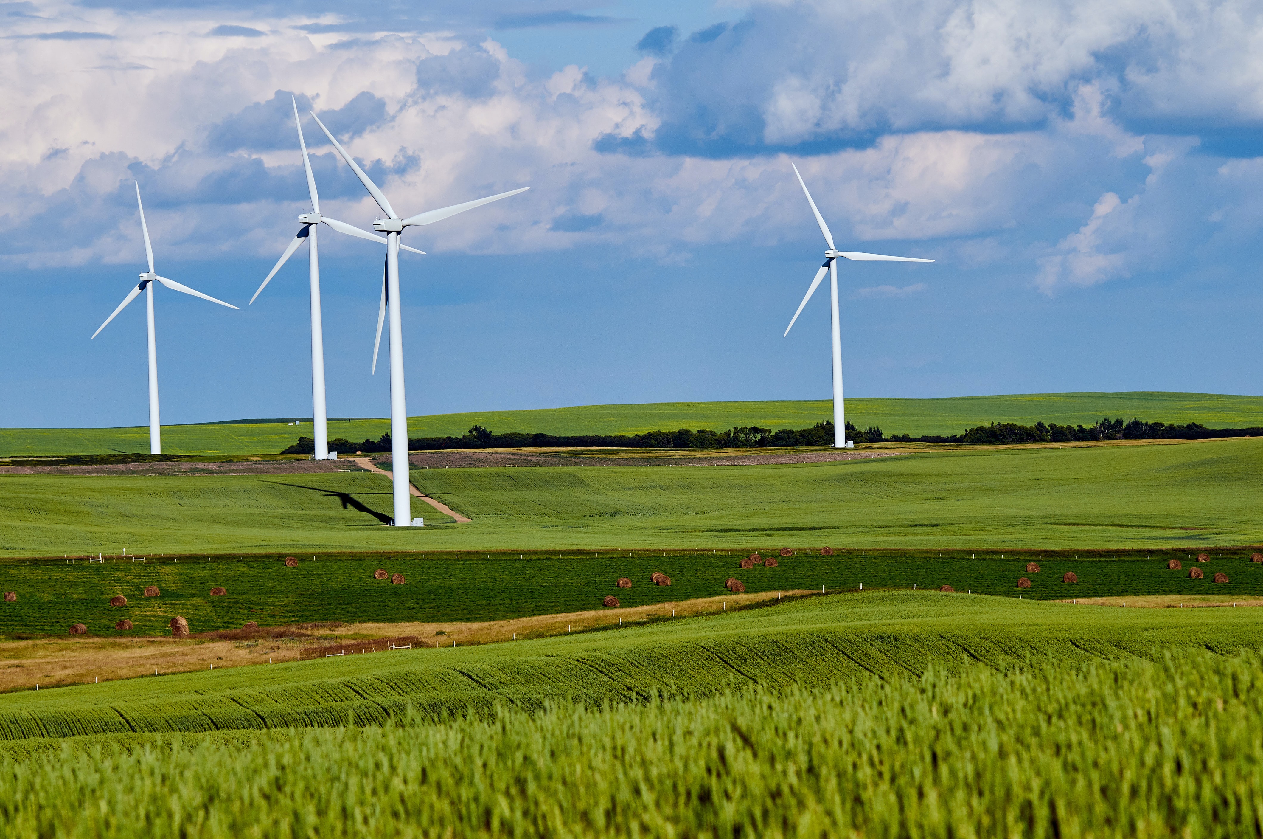 Wind farm